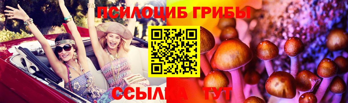 Галлюциногенные грибы ЛСД  наркошоп  Каменск-Шахтинский  Вход с VPN 